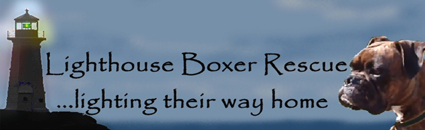 Lighthouse Boxer Rescue